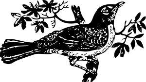 tree-46766_960_720.png