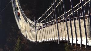 suspension-bridge-1171119_1920.jpg