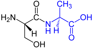 Dipeptide_SerAla.png