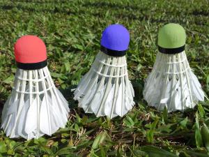 badminton-1716523_1920 copy.jpg