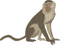YCAT_230405_monkey.png
