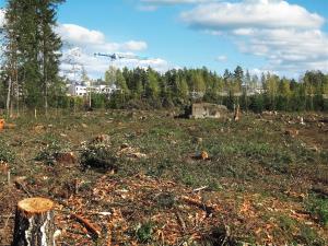 deforested-574185_1920.jpg