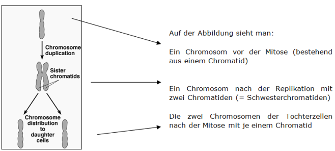 abb21.png