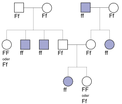 abb45.png