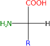 AminoAcidFischer.png