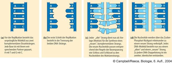 abb10.jpg