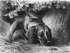 Ebner_Eschenbach_Jagdhund_wiki.png