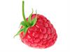 shutterstock_1023418957.jpg