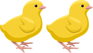 YCAT_230330_2 chicks.png