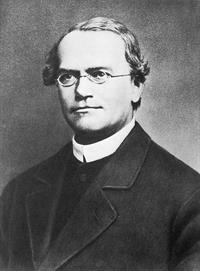 663px-Gregor_Mendel_2.jpg