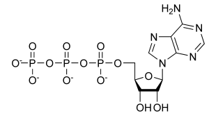 ATP_chemical_structure.png