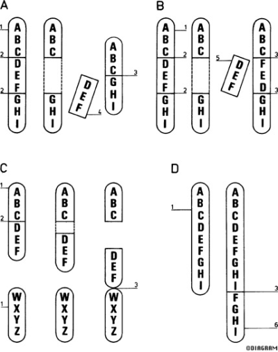 abb42.png