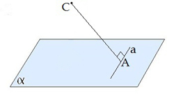 tpt1 - Copy - Copy.jpg