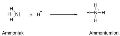 Rxn_Ammonium.png