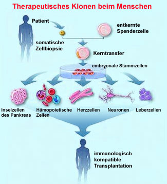 abb66.png