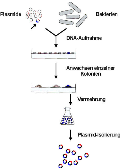abb60.png