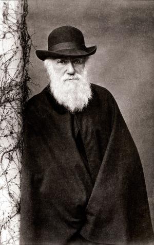 800px-Darwin_1881.jpg
