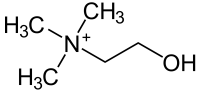 Choline2.png