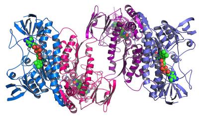 protein_structure.jpg
