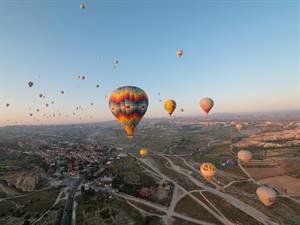 Raffaella Galvani Shutterstock.jpg