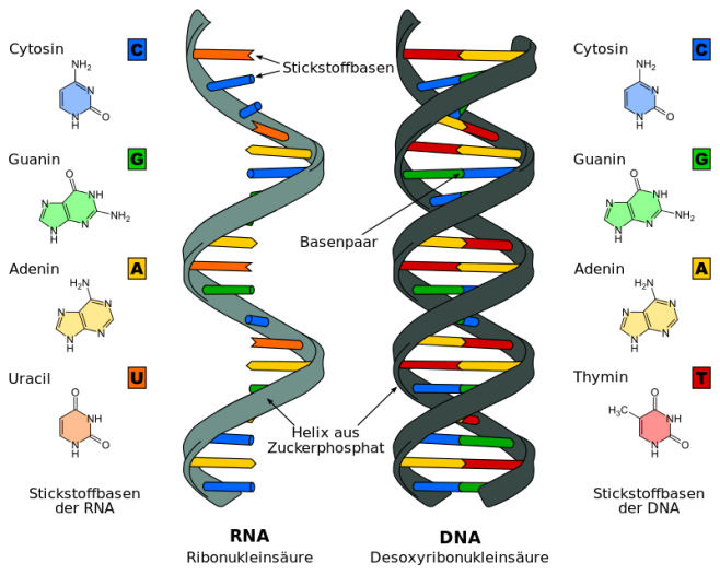 DNS-Aufbau.png