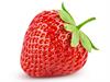 shutterstock_515237146.jpg