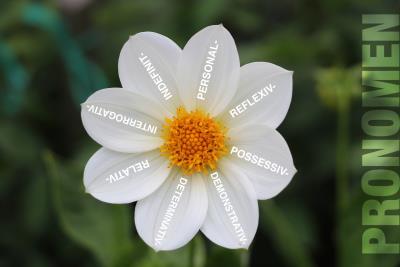 flower-1643568_1920 copy.jpg