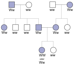abb44.png