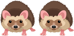YCAT_230330_2 hedgehogs.png