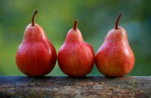 pears-1159014_1920.jpg