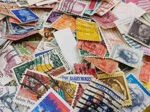 Karina Movsesyan Shutterstock.jpg