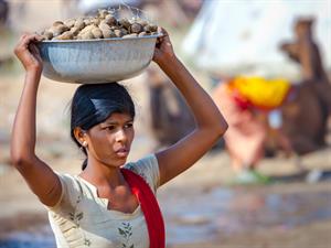 photoff Shutterstock.jpg