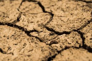 drought-780088_1920.jpg