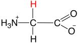 glycin.jpg