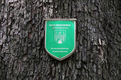 Forchtenstein_-_Naturdenkmal_MA-017_-_Speierling_-_Naturdenkmalschild.jpg