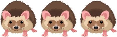 YCAT_230330_3 hedgehogs.png