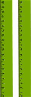 YCAT_230329_two rulers.png