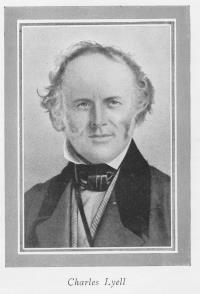 800px-SS-lyell.jpg