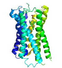 H1_Receptor_with_Doxepin.png