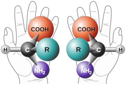 Chirality_with_hands.png