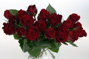 roses-1473687_960_720.jpg