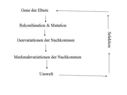abb7.jpg