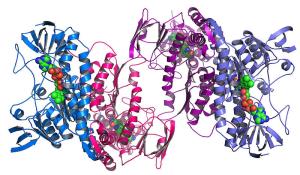 protein_structure.jpg