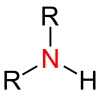 Sek_Amine.png