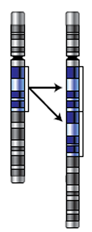 6.png