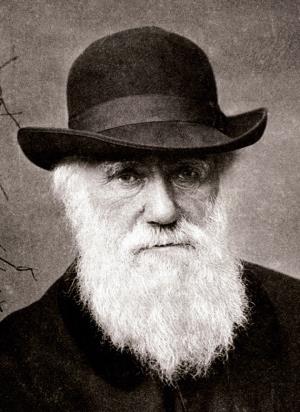 Charles_Darwin_1880_wikipedia.jpg