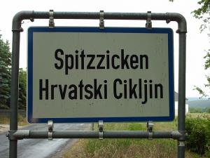 800px-Spitzzicken_-_Hrvatski_Cikljin.JPG