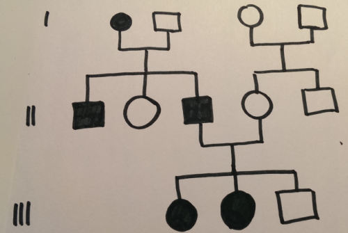 X-chromosomal-dominant.png