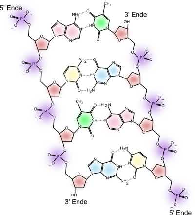 image007.png