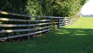 wood-fence-466106_960_720.jpg